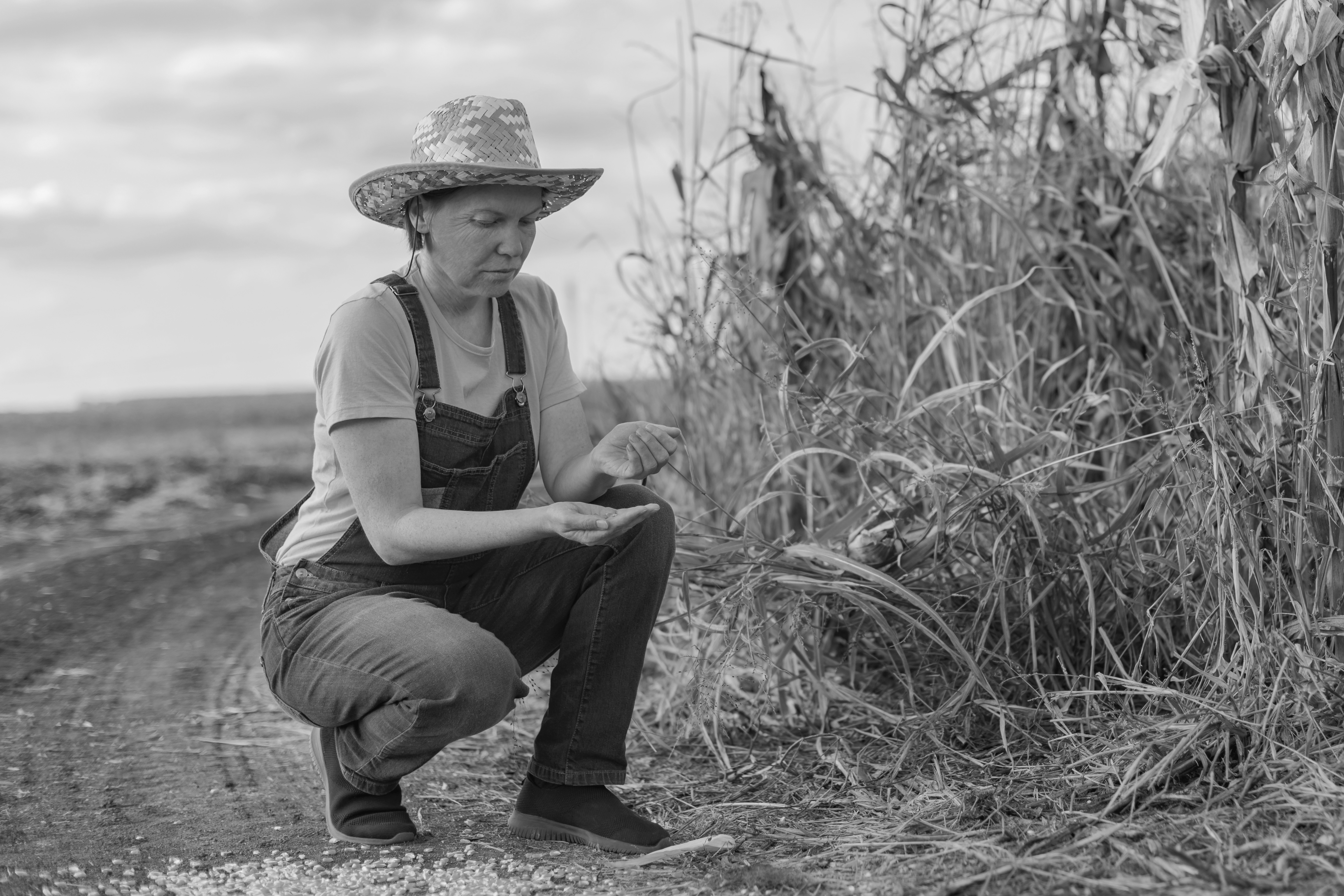 woman crouched looking a corn