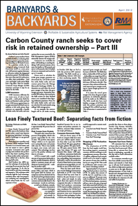 Graphic of B&B Article
