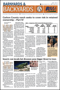 Graphic of B&B Article