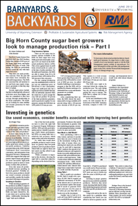 Graphic of B&B Article
