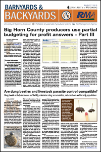 Graphic of B&B Article