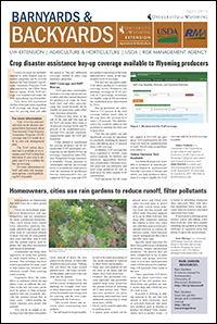 Graphic of B&B Article