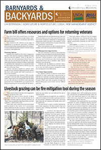 Graphic of B&B Article