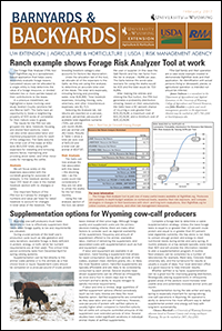 Graphic of B&B Article