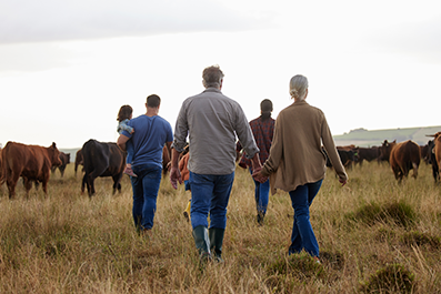 More Than Dirt: Passing On the Ranch and the Relationships