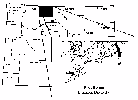 WY MAP WITH POWELL AREA