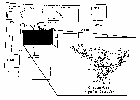 WY MAP WITH RIVERTON AREA