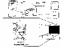 WY MAP WITH WHEATLAND AREA