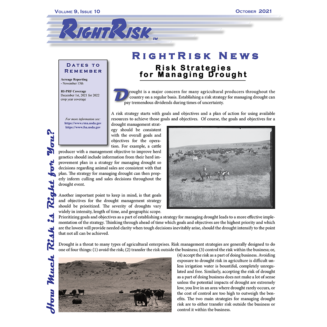 IMAGE: RightRisk News front page