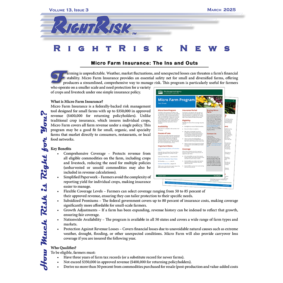 IMAGE: RightRisk News front page