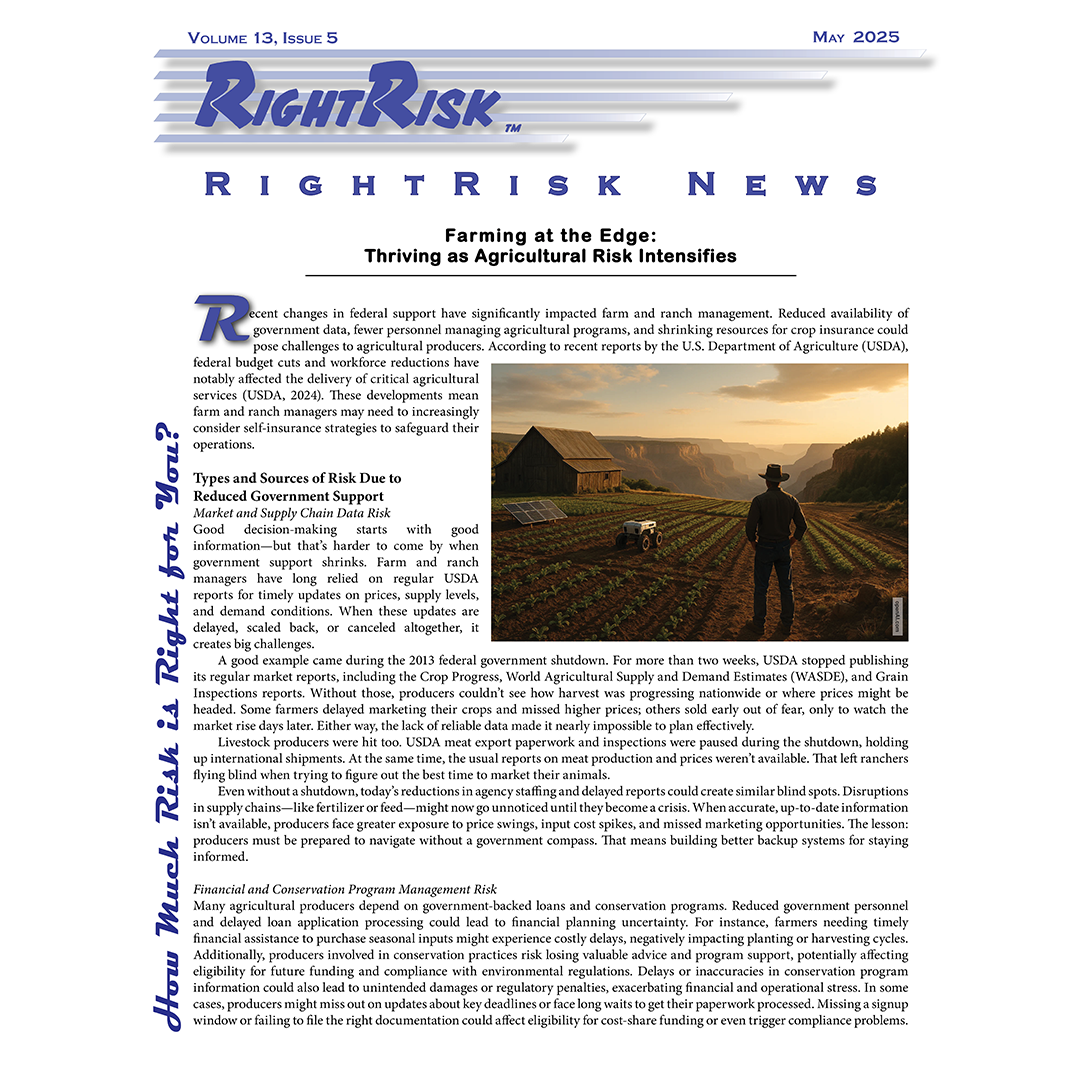 IMAGE: RightRisk News front page