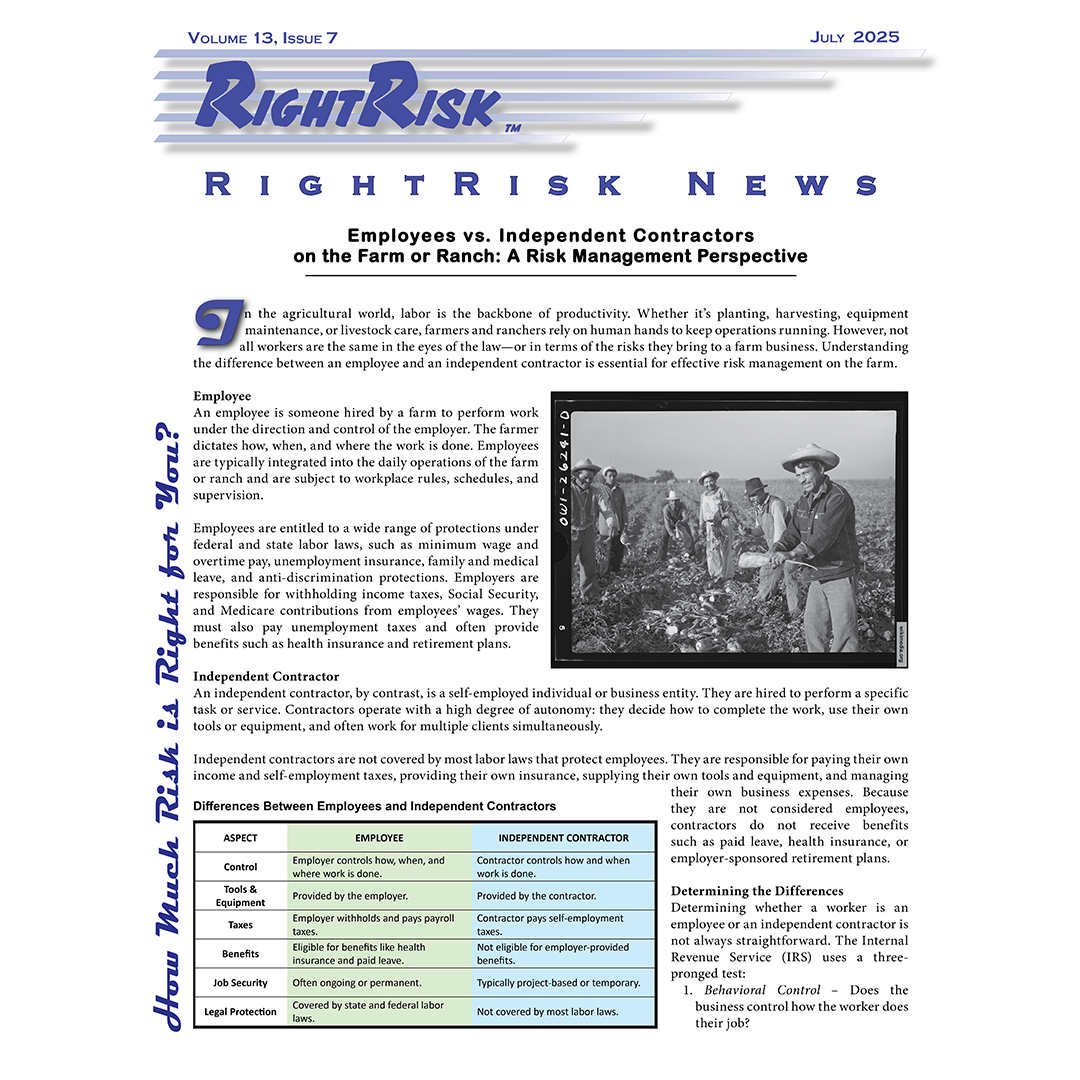 IMAGE: RightRisk News front page