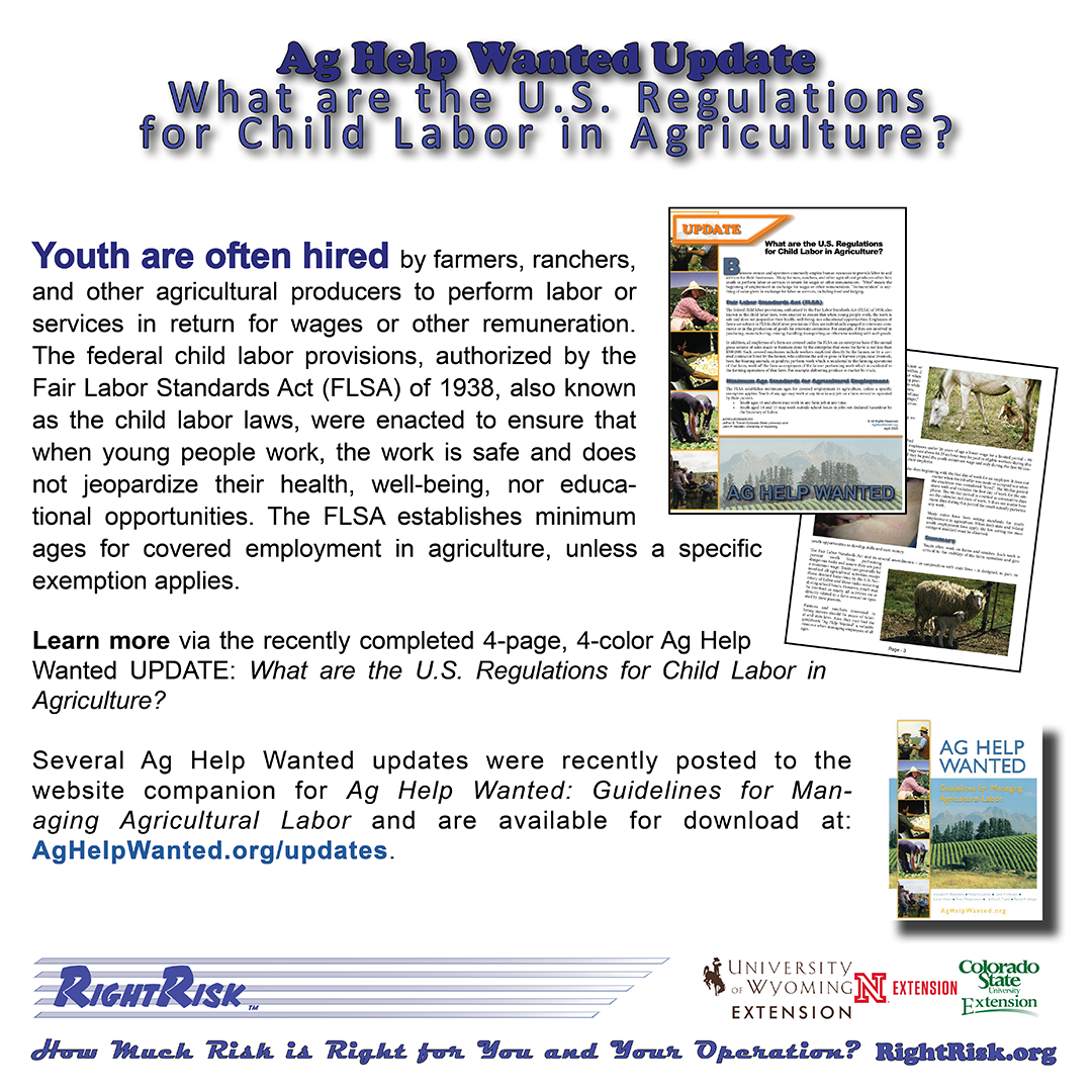 Graphic of RightRisk Media Post