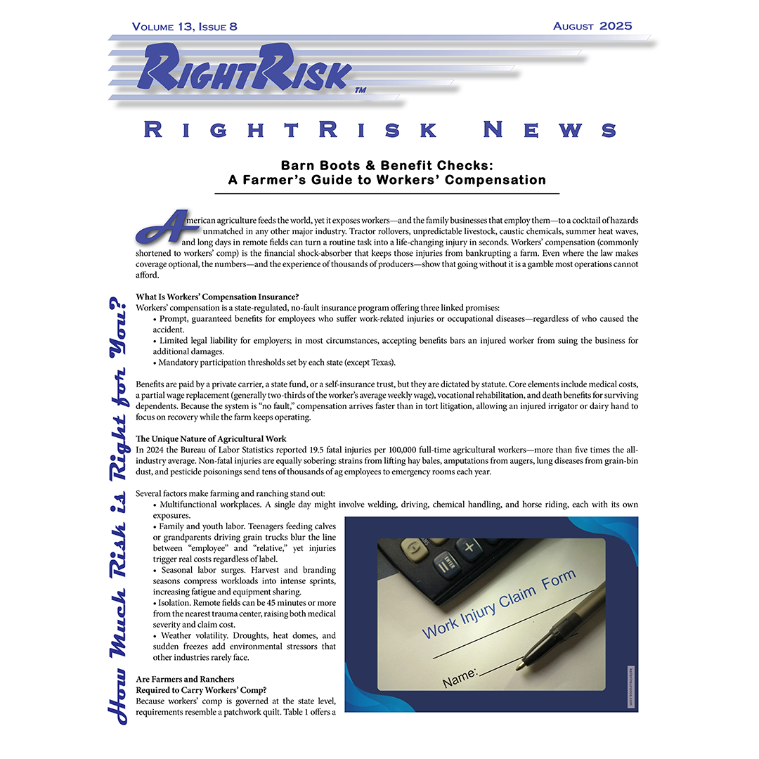 IMAGE: RightRisk News front page