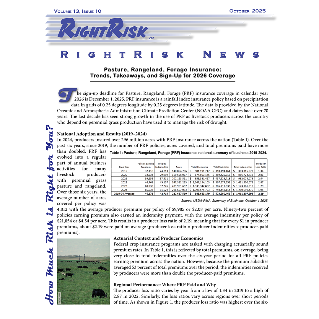 IMAGE: RightRisk News front page