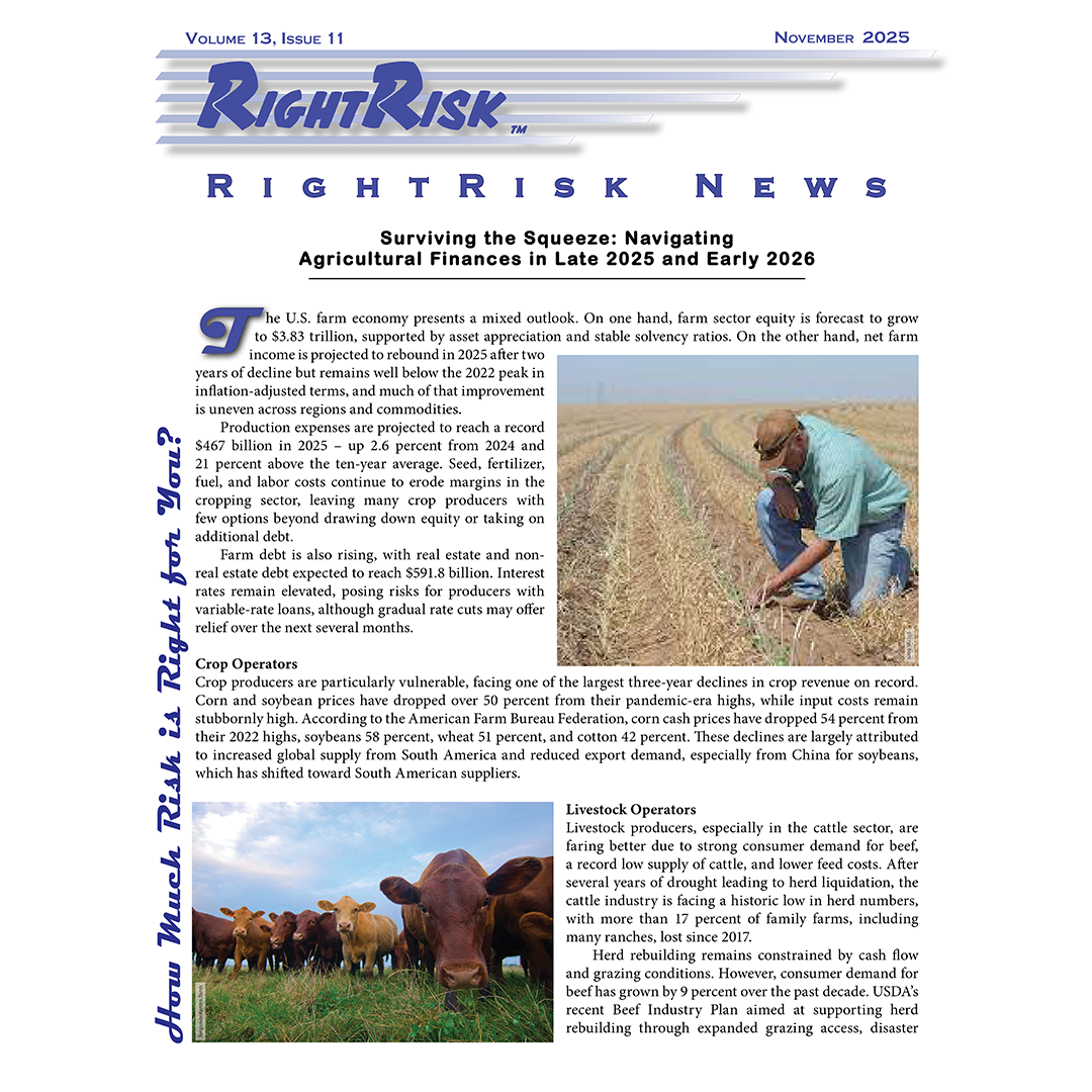 IMAGE: RightRisk News front page