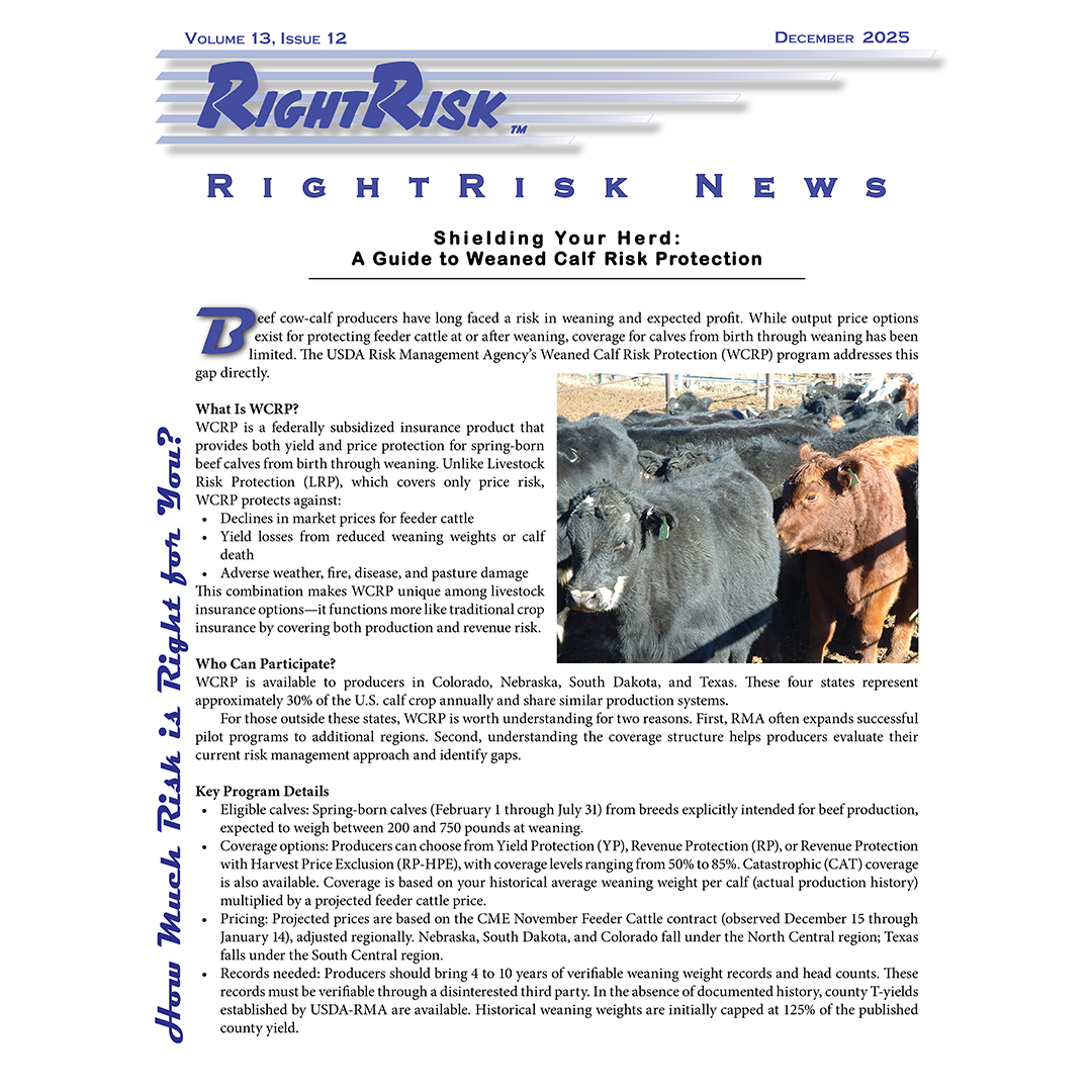 IMAGE: RightRisk News front page