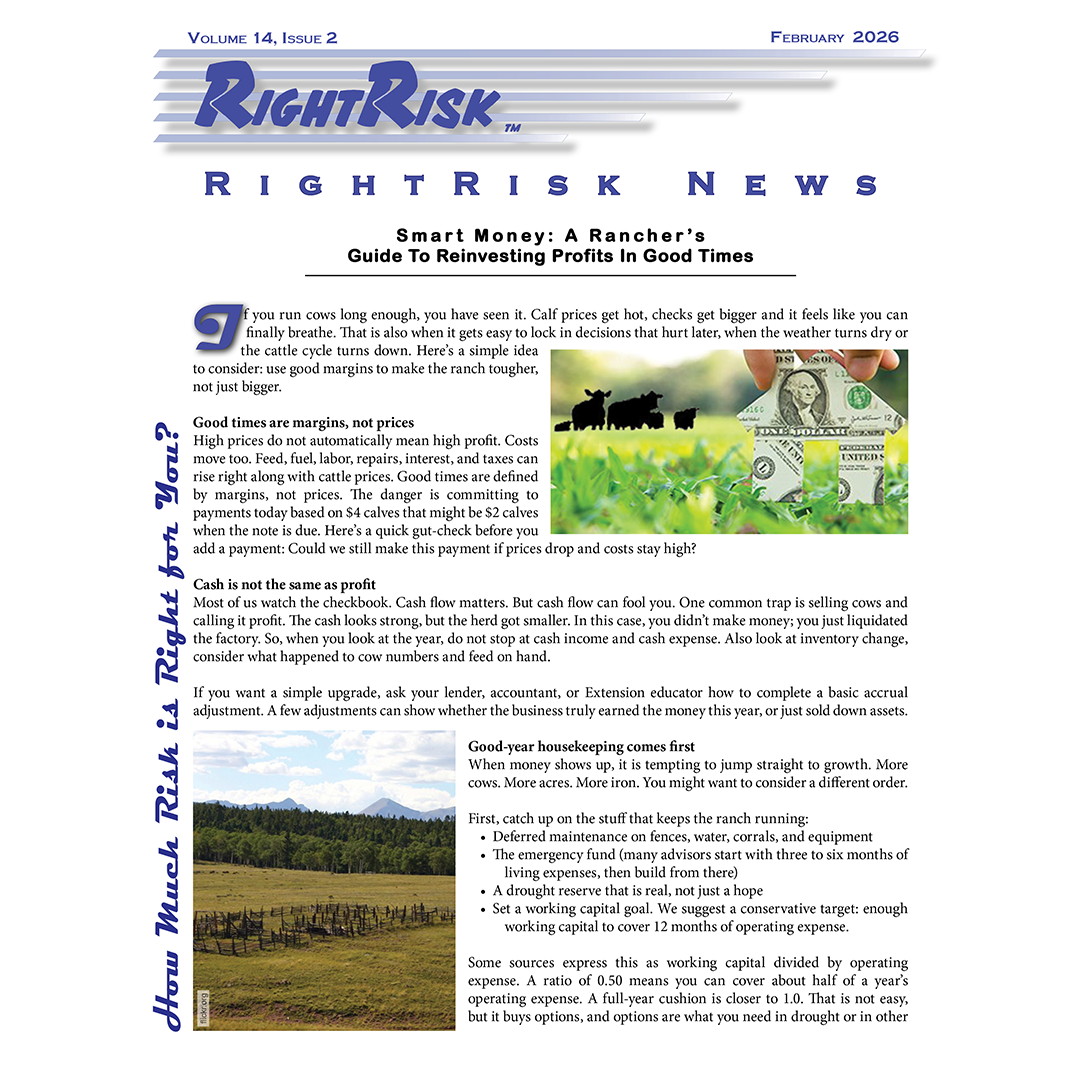 IMAGE: RightRisk News front page