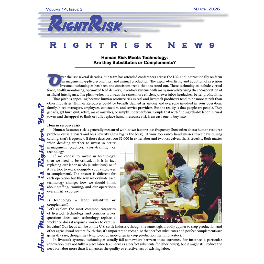 IMAGE: RightRisk News front page