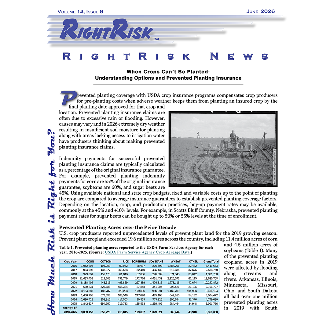 IMAGE: RightRisk News front page IMAGE: RightRisk News front page